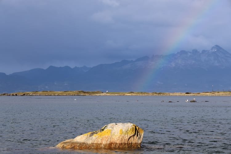 Catching the Voices That Aren’t Me