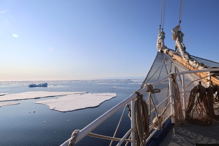 Messy, Beautiful, Whole — What I Learned in Co-Active Core