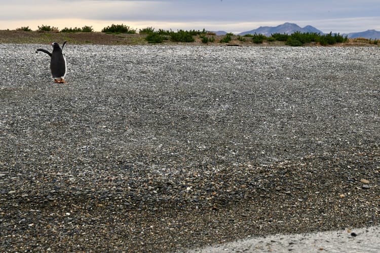 Human Breakthrough, not Human Breakdown