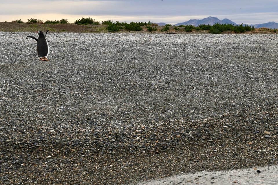 Human Breakthrough, not Human Breakdown