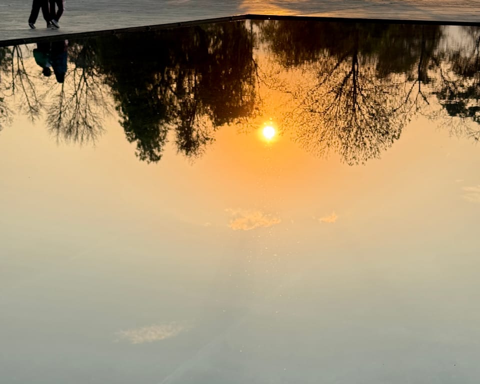 Too Many Passions Is Not the Problem