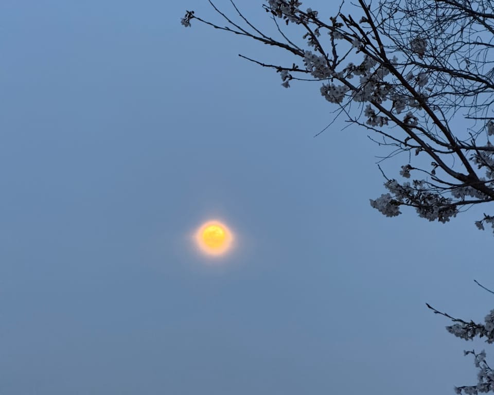 What the Crossing Border Framework Actually Is